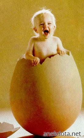 Μόλις βγήκε από το αυγό και κλαίει 