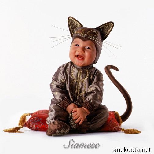 Костюм котёнка для мальчика своими руками