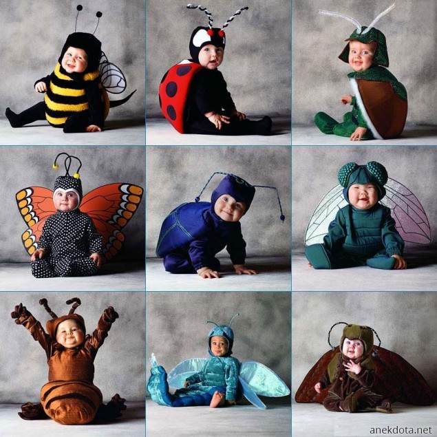 Τα εντομάκια 