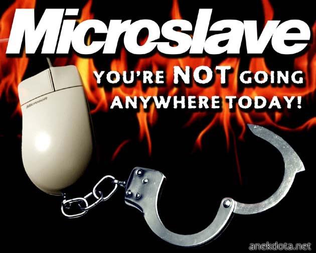 Microslave 