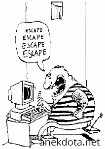 Escape,escape,escape 