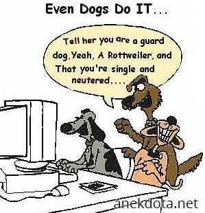 Σκυλοψεματάκια 