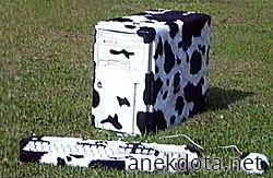 Cow pc 