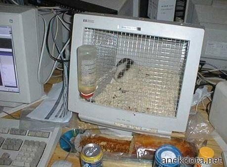 Έναλακτική χρήση οθόνης 