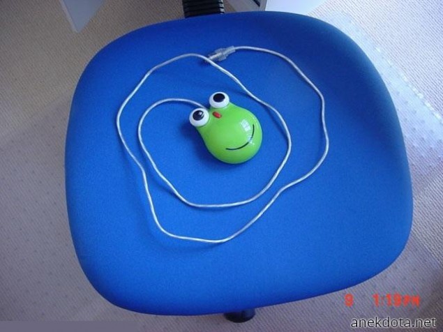 Βατραχοπόντικο 