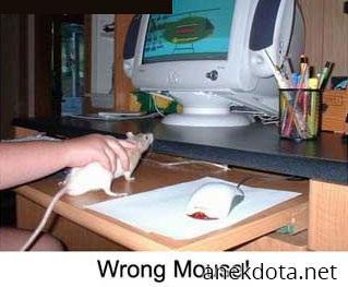 Wrong mouse 