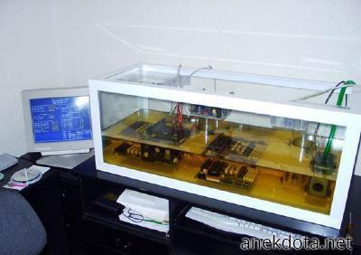 Υπολογιστής ενυδρείο 