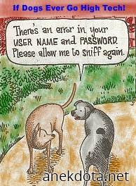 Κάτσε να σε μυρίσω πάλι 