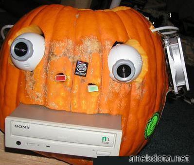 Sony pumpkin 