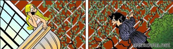 Θα φέρεις καμιά σκάλα  να ανέβω μαρή 