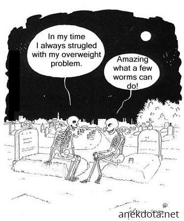 Καλά σκουλίκια 