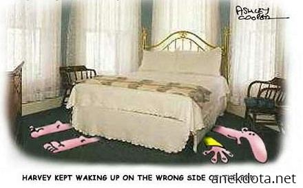 Όλο ξυπνάει στη λάθος μεριά 