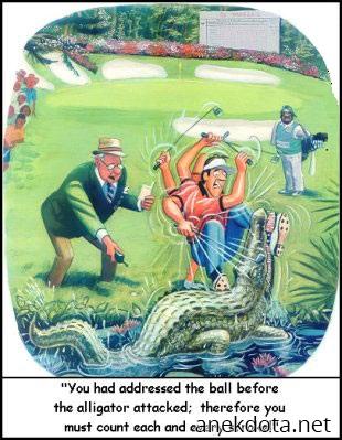 Ο αλιγάτορας δε μετράει 