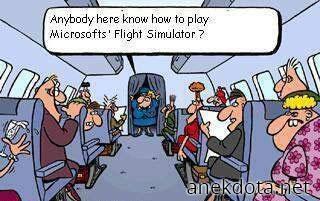 Microsoft flight simulator 