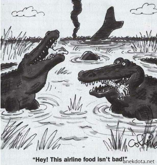 Ωραίο φαί έχει αυτή η αεροπορική 