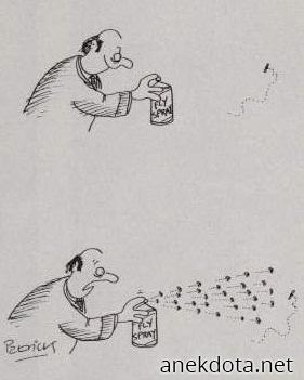 Σπρέι για μύγες 