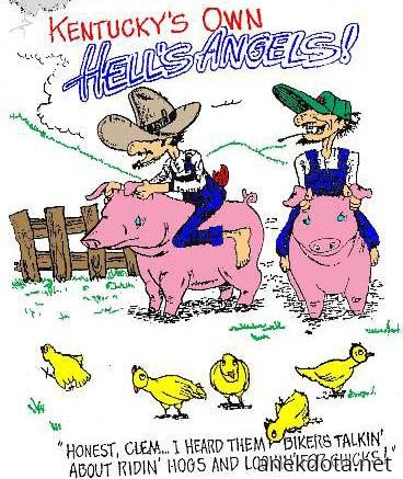 Riding hogs and looking at chicks 