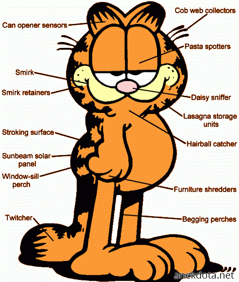 Garfield 