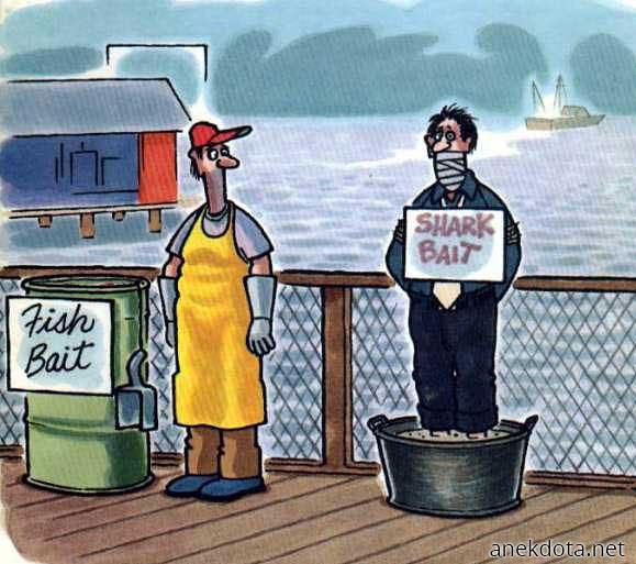 Shark bait 