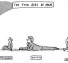 The four ages of man