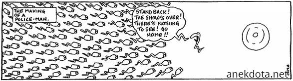 The making of a police man 