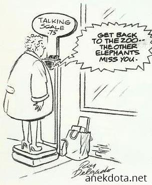 Ελέφαντας!Ελέφαντας! 