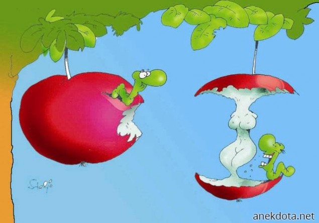 Καλλιτέχνης 