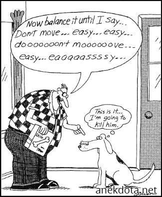 Άγριες διαθέσεις 