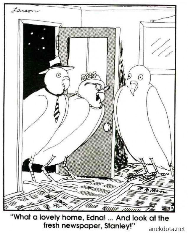 Καινούρια διακόσμηση 