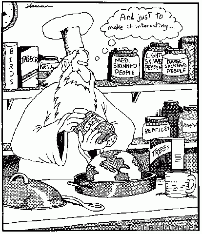 Σωστός μάγειρας 