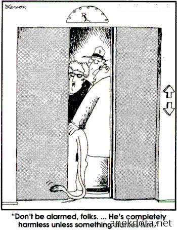 Άκακος μέχρι να ξαφνιαστεί 