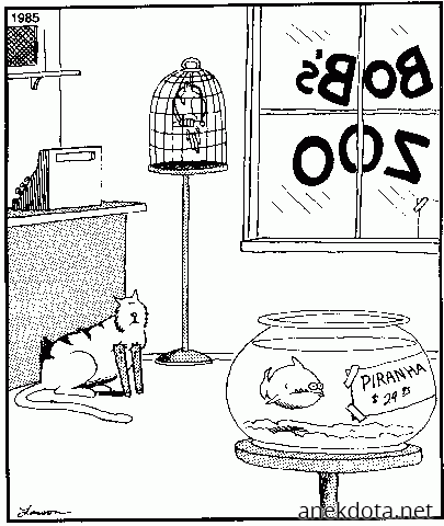 Λάθος ψάρι βρήκες να βάλεις στο μάτι 