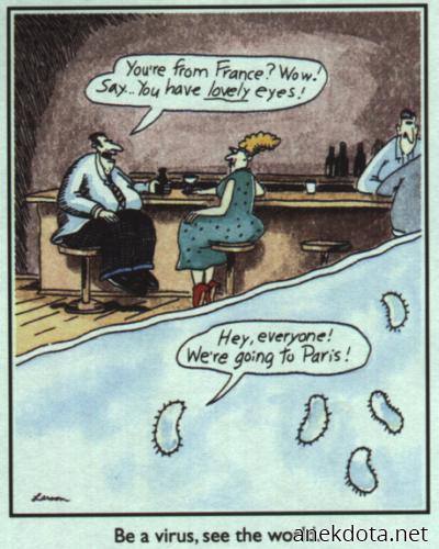 Ταξιδιάρης ιός 