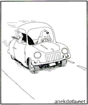 Γούφ στο τιμόνι 