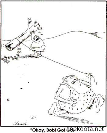 Χαρταετός των σπηλαίων 