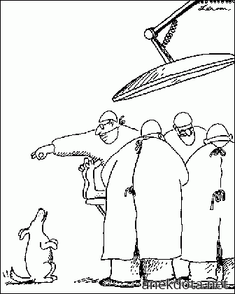 Τσίμπα Τζάκ 