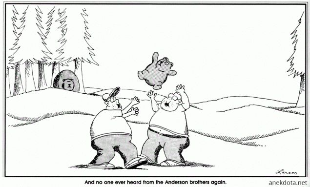 Το αρκουδάκι 