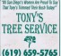 Tony’s tree service