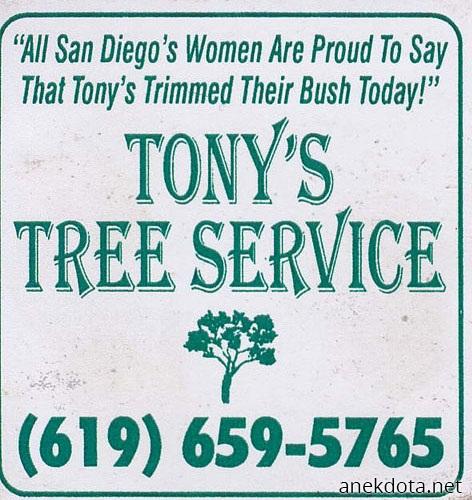 Tony’s tree service 