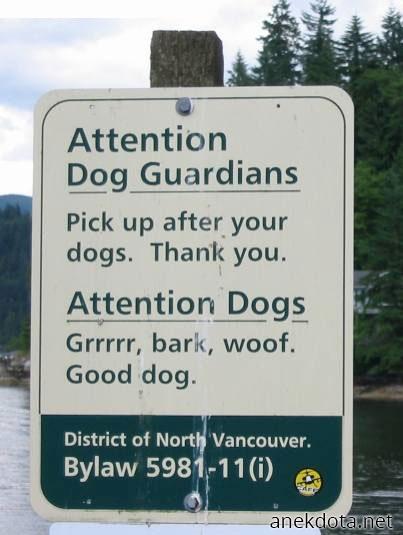 Τώρα και στα σκυλίσια 