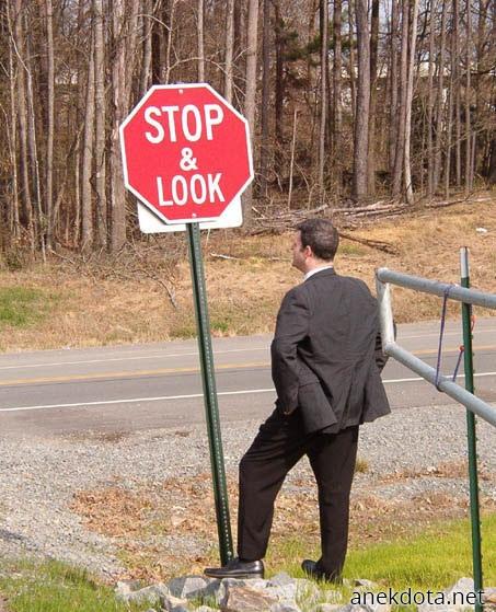 Σταμάτα και κοίτα 