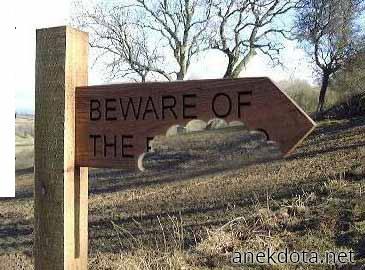 Τι να προσέχουμε; 