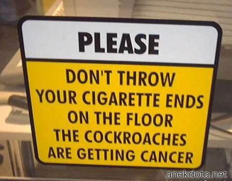 Οι κατσαρίδες παθαίνουν καρκίνο 