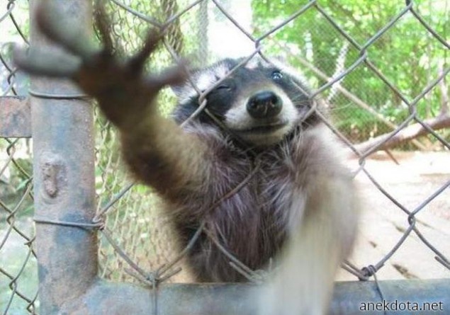 Μη με αφήνετε 