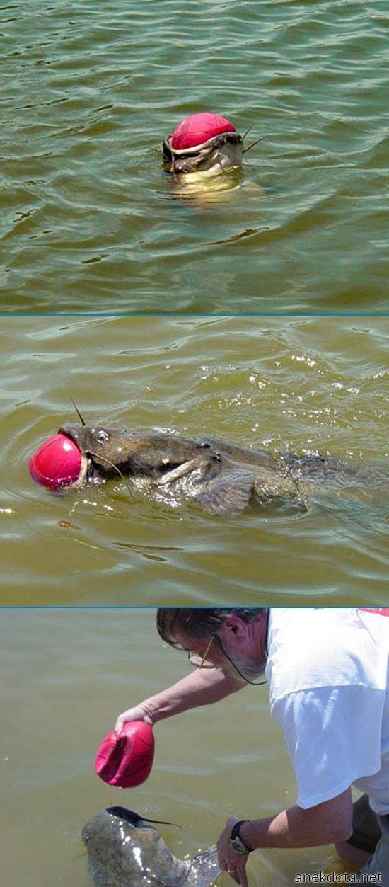 Μου πιάνεις τη μπάλα; 