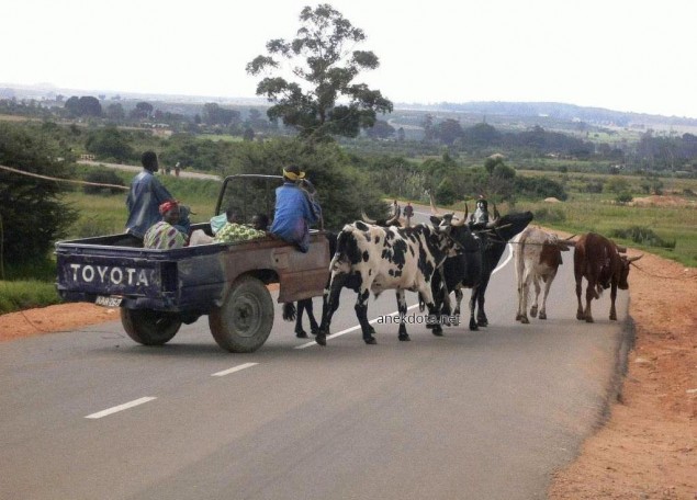 Εναλακτική χρήση 