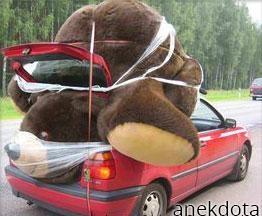 Μικρό αρκουδάκι 