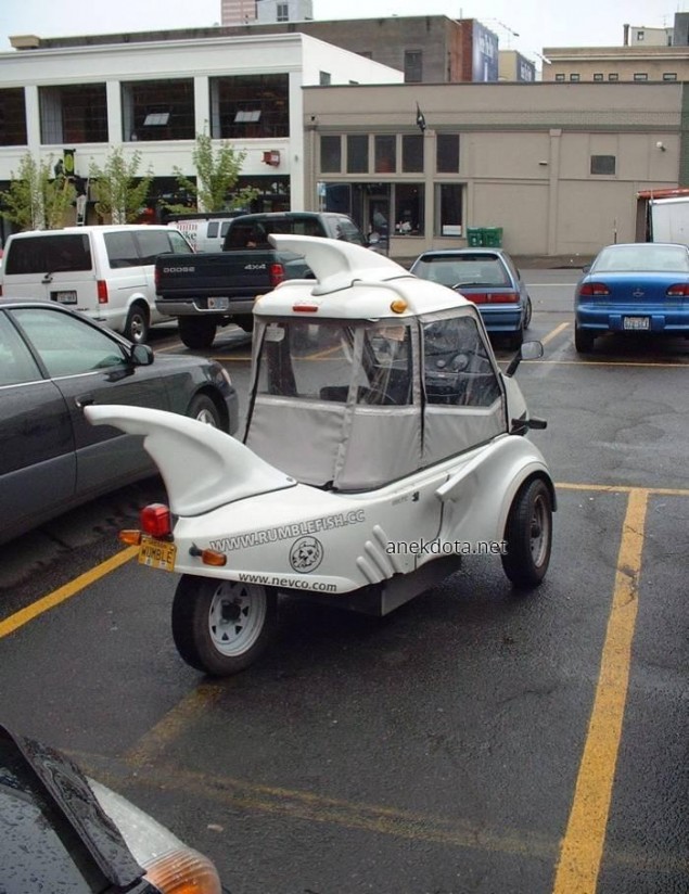 Το καρχαριάκι 