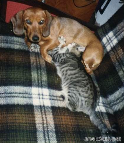 Μα είναι το πραγματικό μου παιδί 