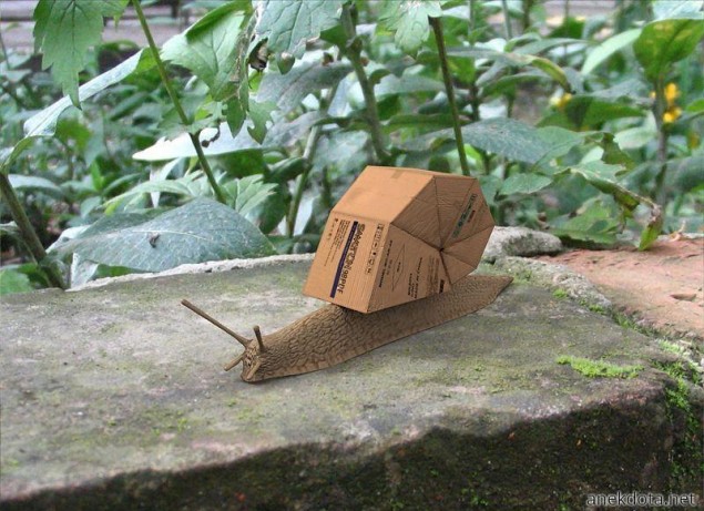 Cardboard snail 